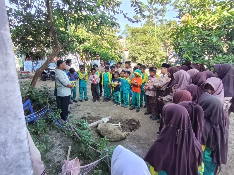 Pemotongan hewan qurban